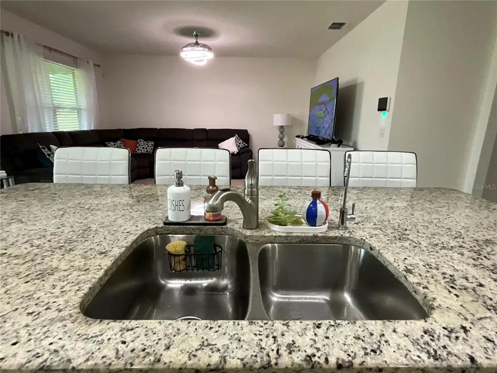 33525 ALWAYS DREAMING COURT Sorrento, FL 32776