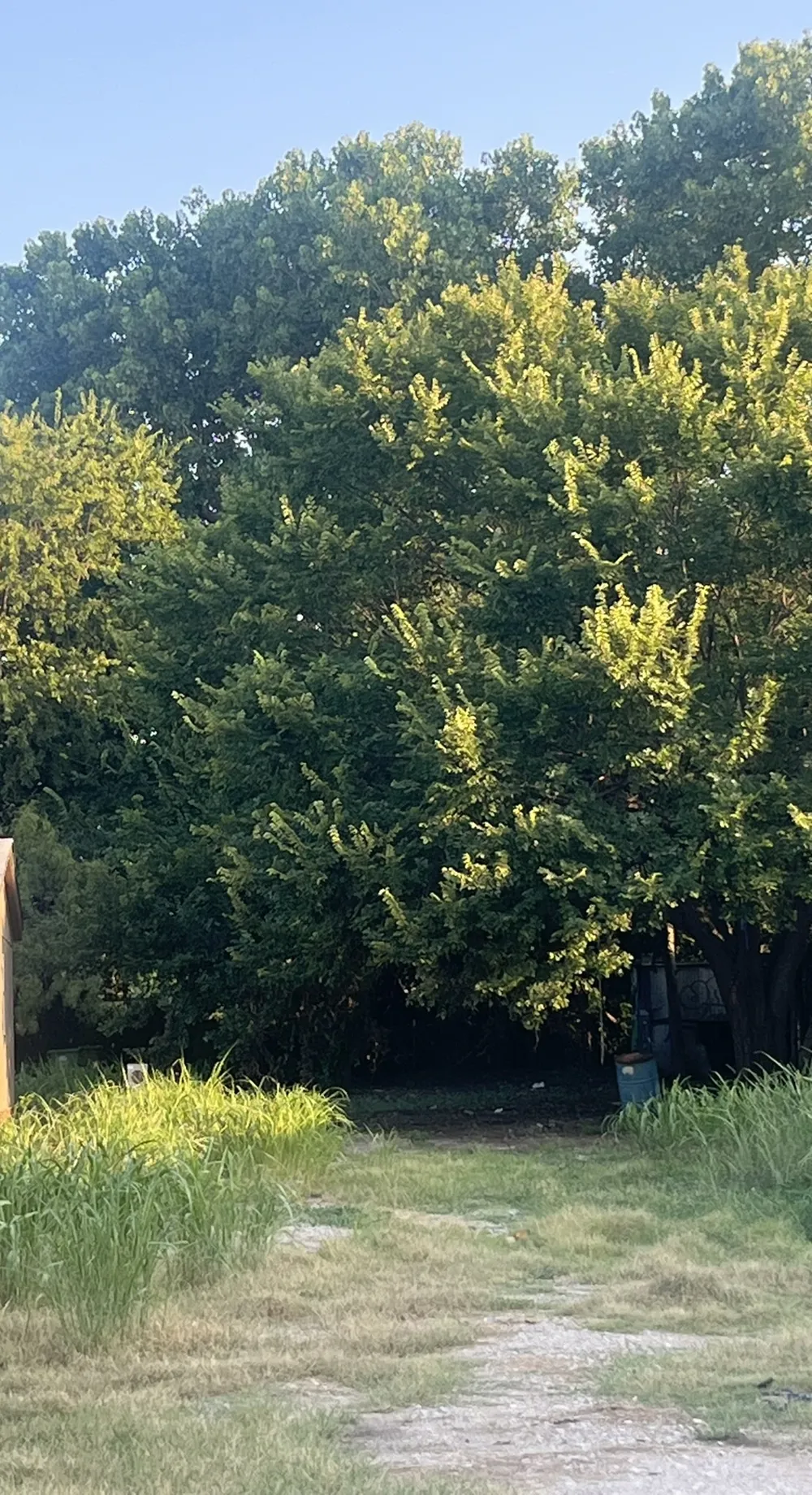 101 Brook Court Springtown, TX 76082