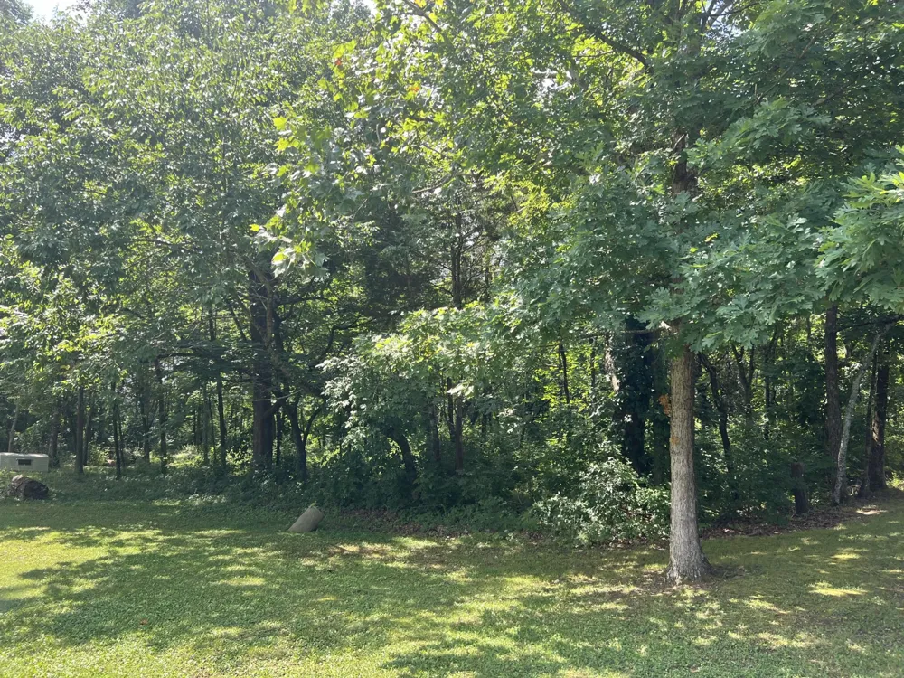0 Robinhood Drive NW Cleveland, TN 37312