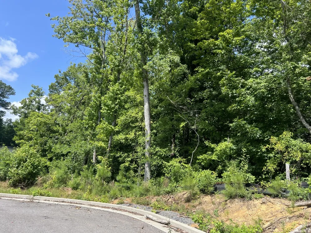 0 Robinhood Drive NW Cleveland, TN 37312