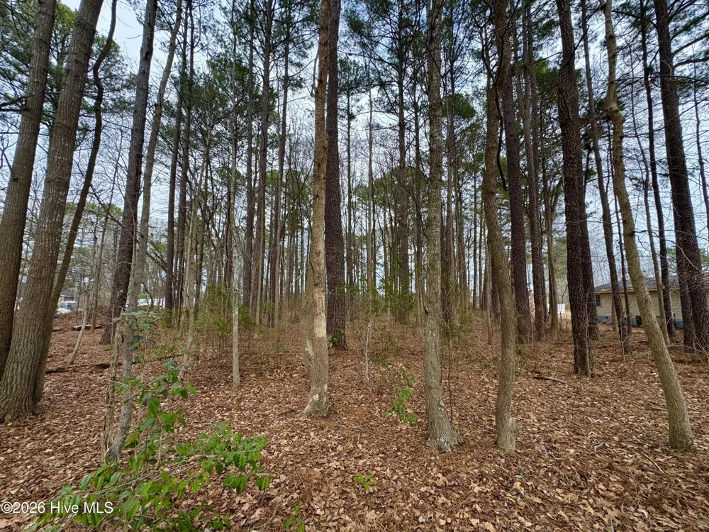 0 Lincoln Drive Kenly, NC 27542