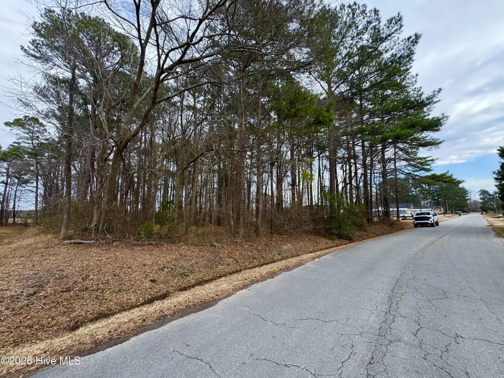 0 Lincoln Drive Kenly, NC 27542