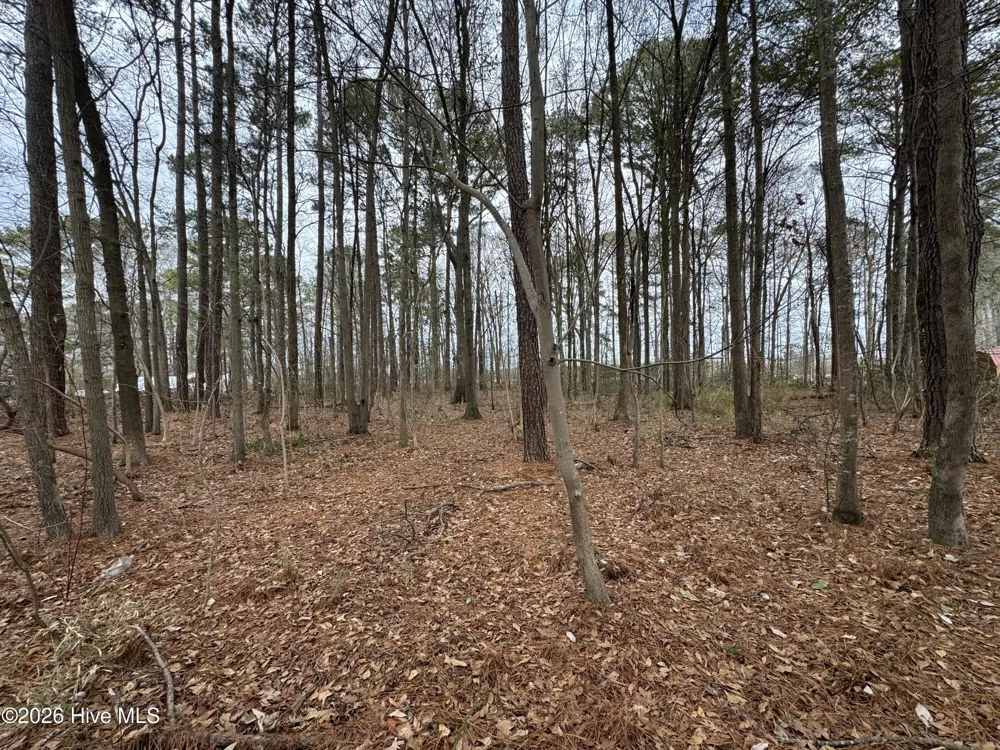 0 Lincoln Drive Kenly, NC 27542