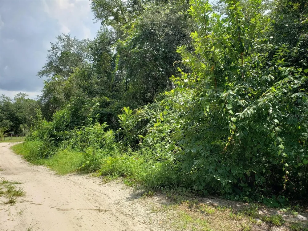 PINE VALLEY DRIVE Paisley, FL 32767