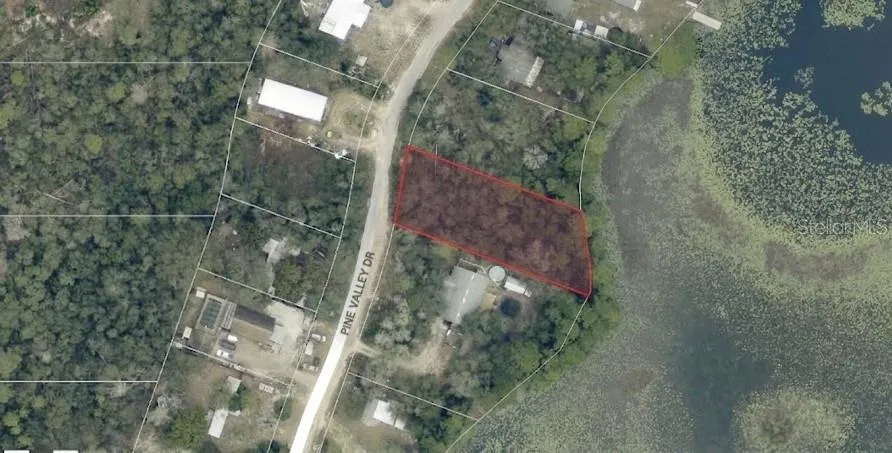 PINE VALLEY DRIVE Paisley, FL 32767