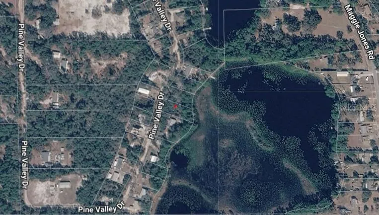 PINE VALLEY DRIVE Paisley, FL 32767