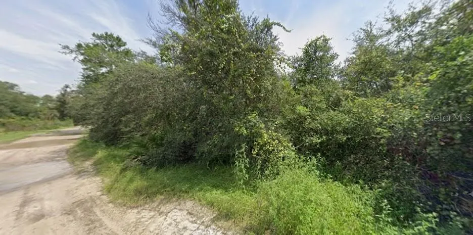 PINE VALLEY DRIVE Paisley, FL 32767