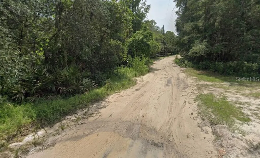 PINE VALLEY DRIVE Paisley, FL 32767