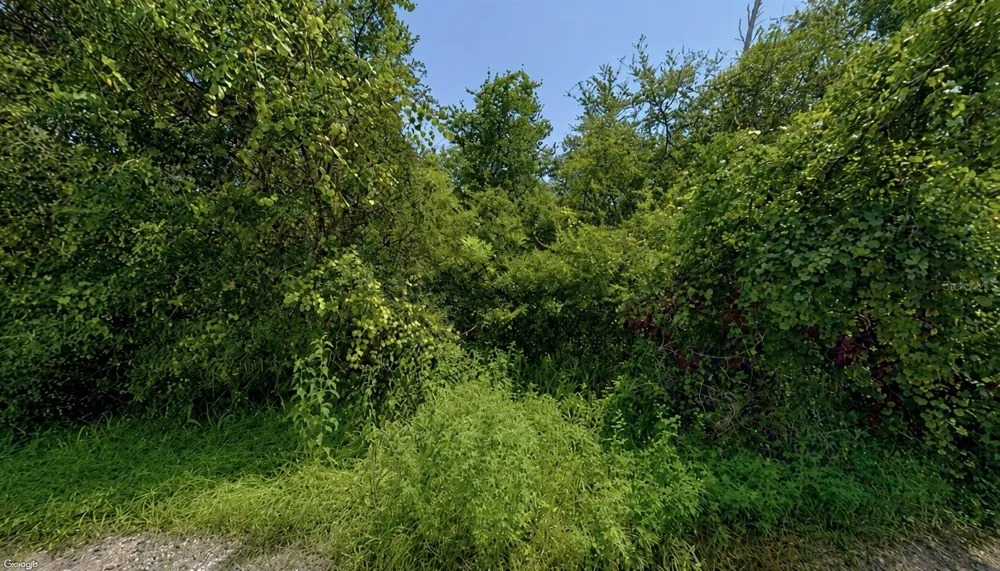PINE VALLEY DRIVE Paisley, FL 32767