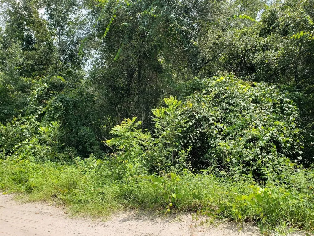 PINE VALLEY DRIVE Paisley, FL 32767