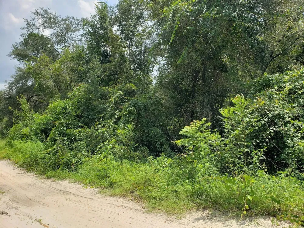 PINE VALLEY DRIVE Paisley, FL 32767