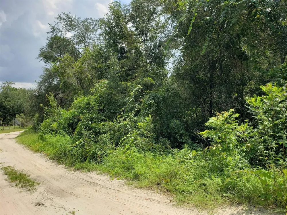 PINE VALLEY DRIVE Paisley, FL 32767