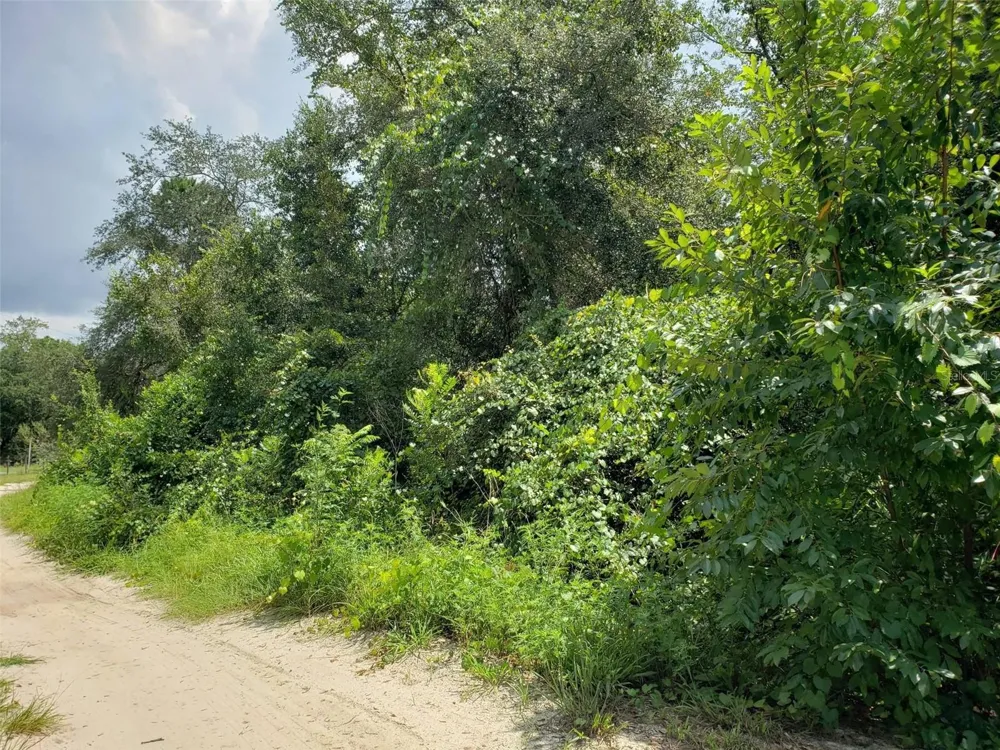 PINE VALLEY DRIVE Paisley, FL 32767