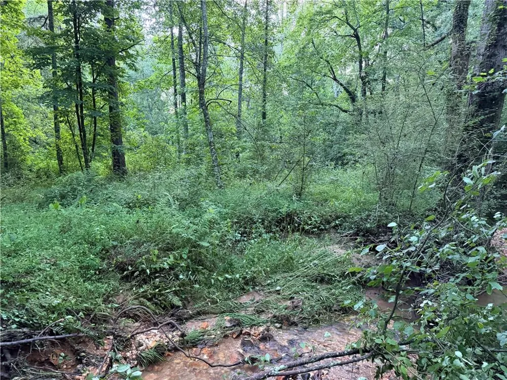 0 Hwy 52 W Highway Dahlonega, GA 30533