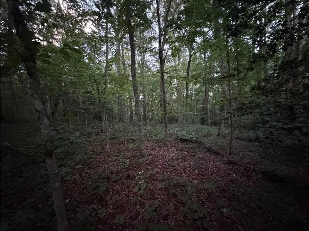 0 Hwy 52 W Highway Dahlonega, GA 30533