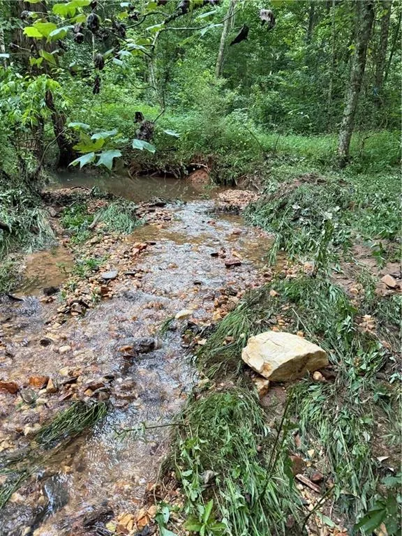 0 Hwy 52 W Highway Dahlonega, GA 30533