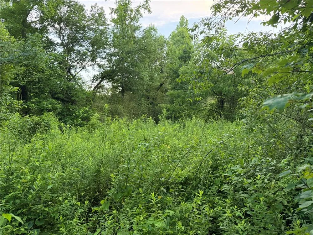 0 Hwy 52 W Highway Dahlonega, GA 30533
