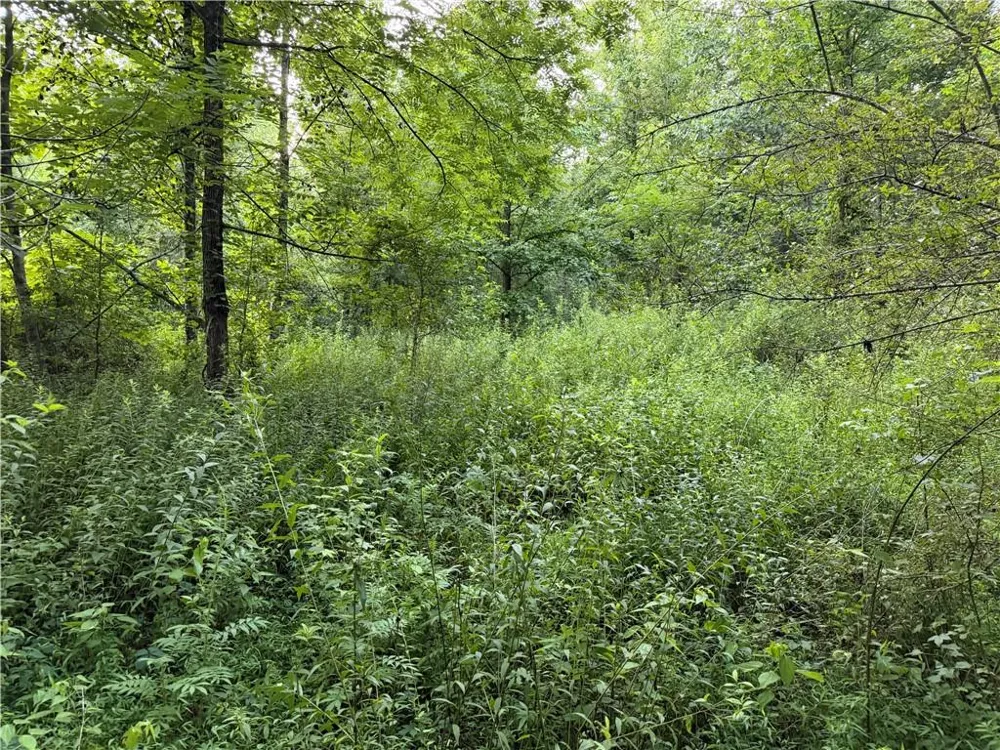 0 Hwy 52 W Highway Dahlonega, GA 30533