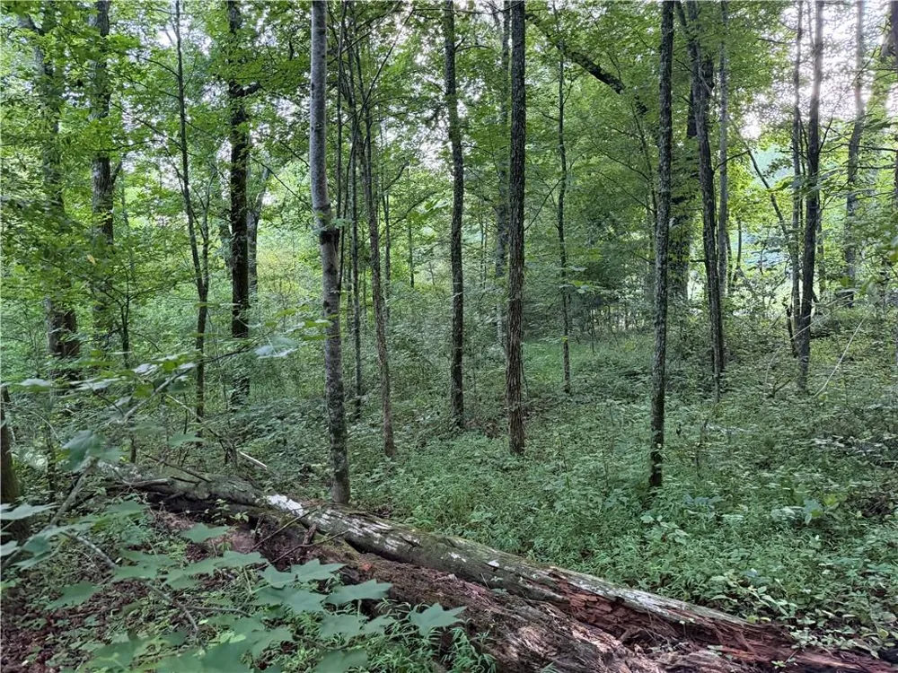 0 Hwy 52 W Highway Dahlonega, GA 30533