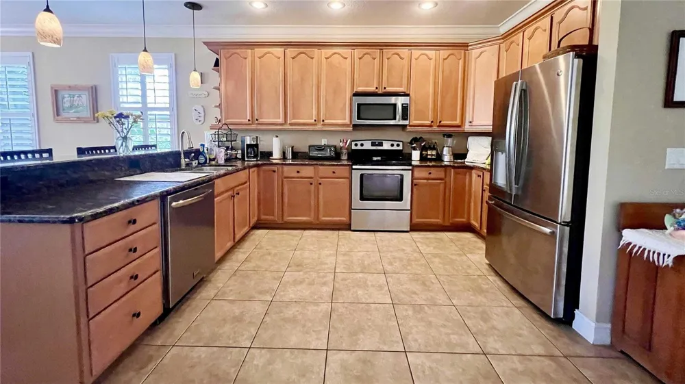 1266 RIBOLLA DRIVE Palm Harbor, FL 34683