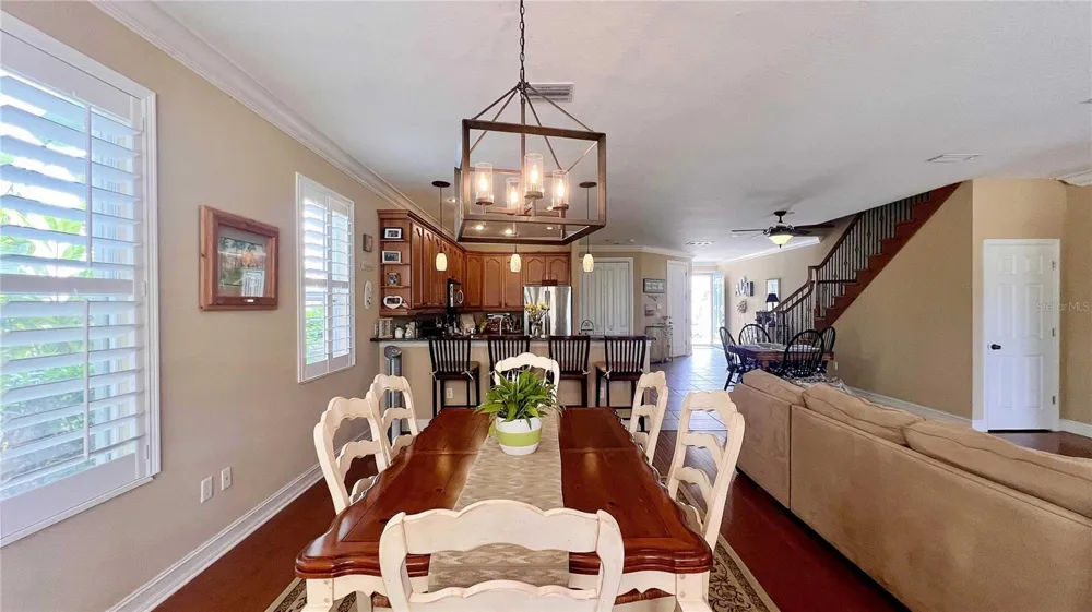 1266 RIBOLLA DRIVE Palm Harbor, FL 34683