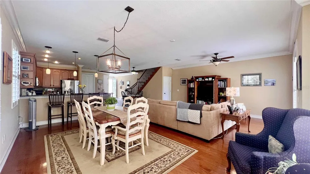 1266 RIBOLLA DRIVE Palm Harbor, FL 34683