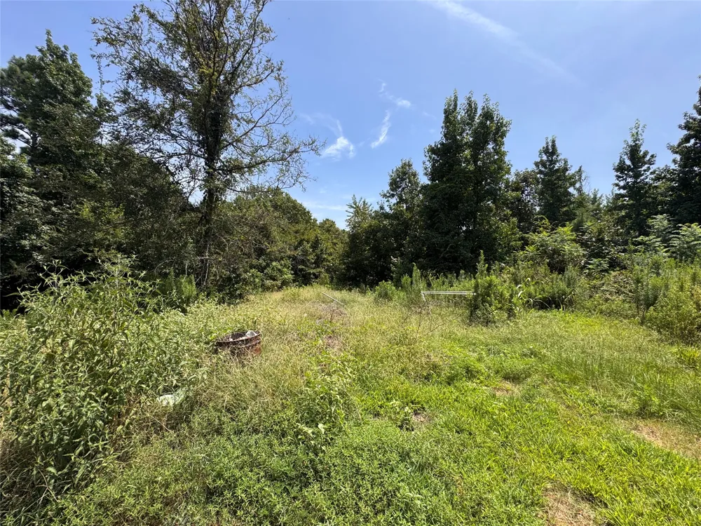 551 Pleasure Point Rd No City, TX 75668