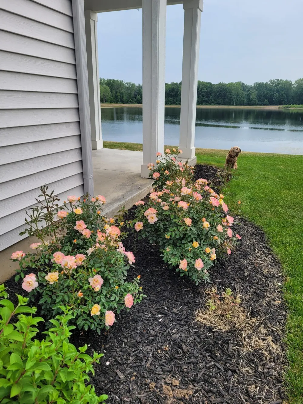 2942 Isle Water Drive Belmont, MI 49306