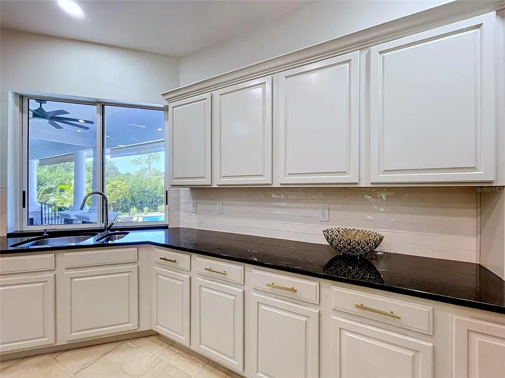 2918 MAGNOLIA TRACE Tarpon Springs, FL 34688