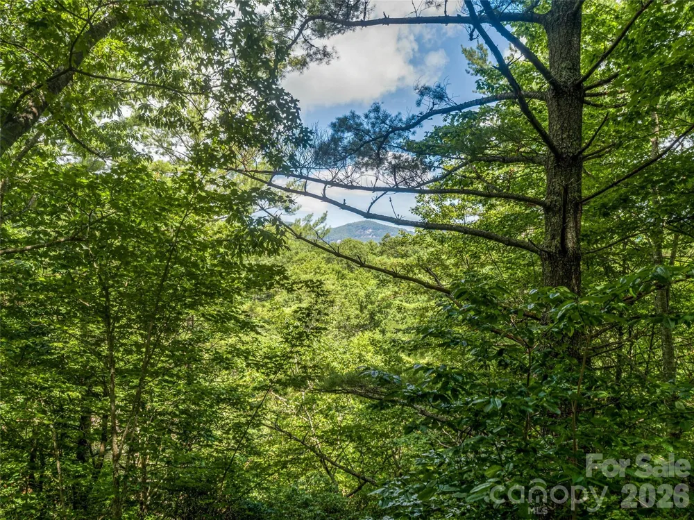 TBD Seminole Way #10 Lake Toxaway, NC 28747