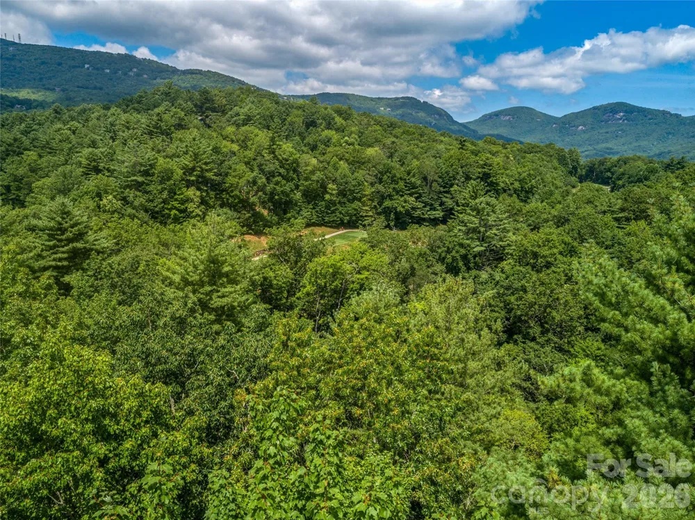 TBD Seminole Way #10 Lake Toxaway, NC 28747