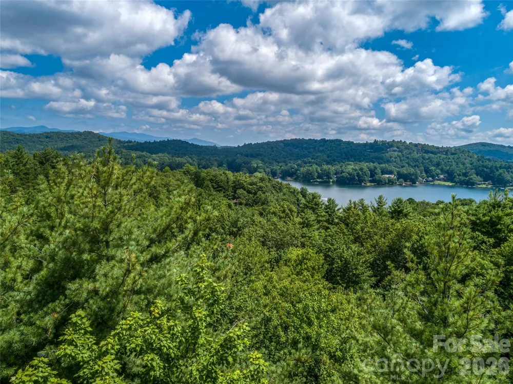 TBD Seminole Way #10 Lake Toxaway, NC 28747