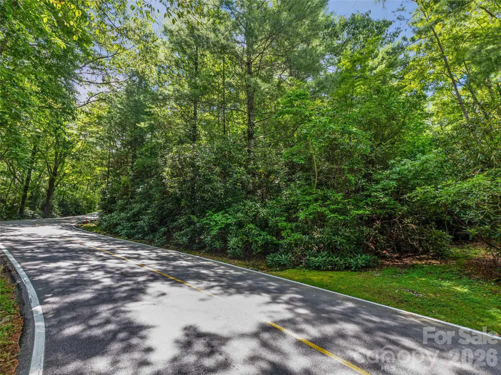 TBD Seminole Way #10 Lake Toxaway, NC 28747