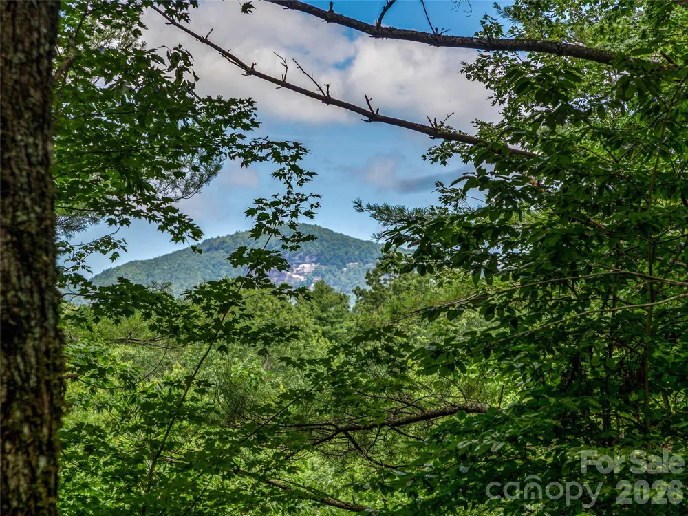TBD Seminole Way #10 Lake Toxaway, NC 28747