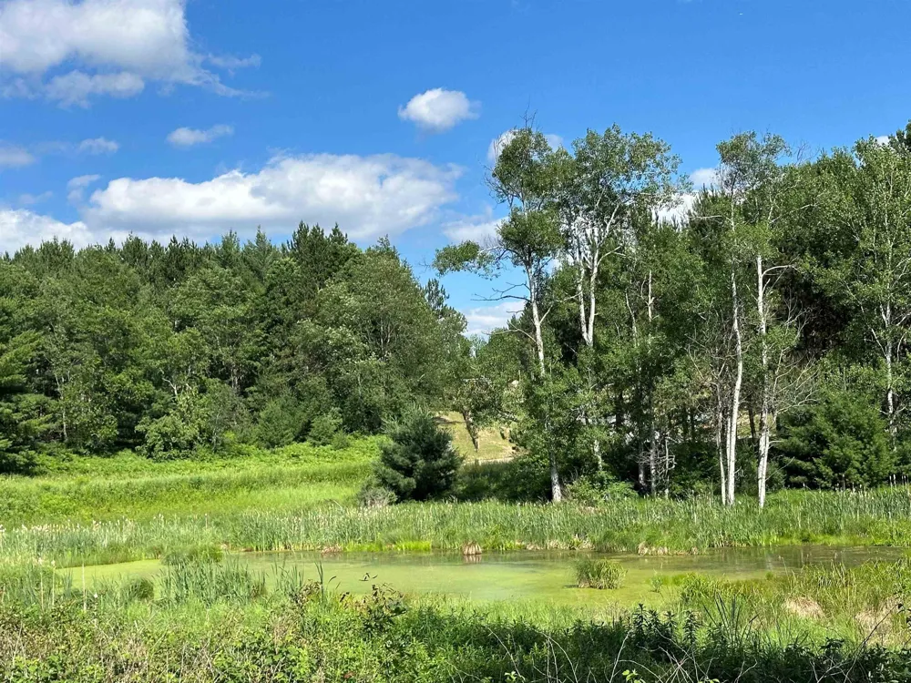 3383 NW Dockery Road Kalkaska Township, MI 49690