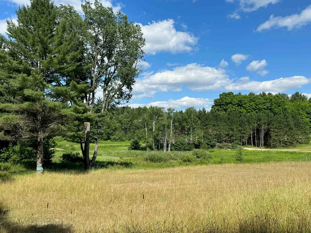 3383 NW Dockery Road Kalkaska Township, MI 49690