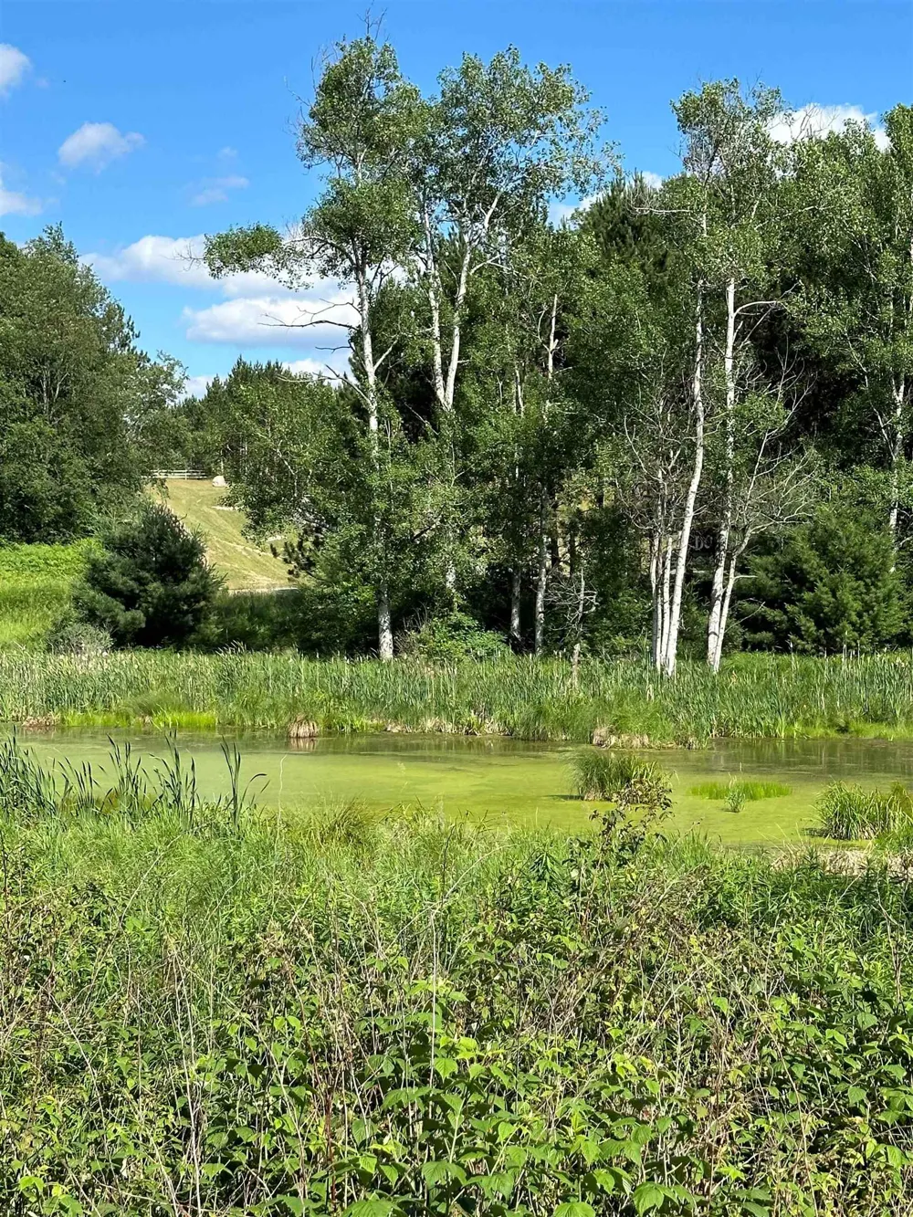 3383 NW Dockery Road Kalkaska Township, MI 49690