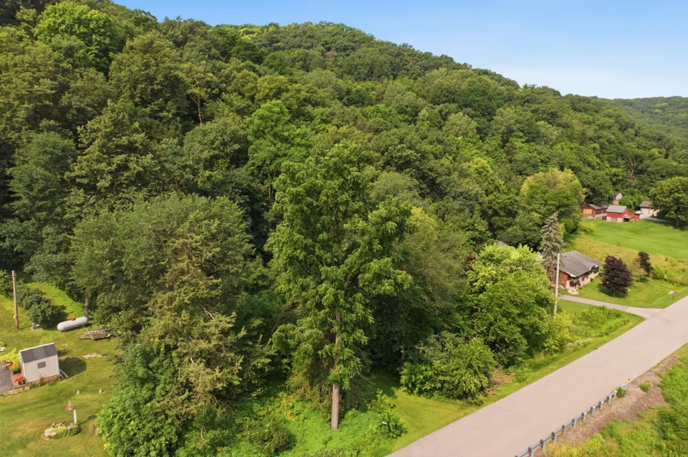25579 Leeward Road Winona, MN 55987