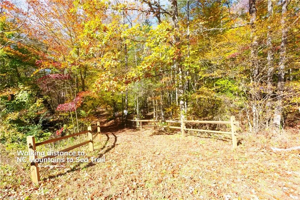 4 Old Mill Road Pinnacle, NC 27043