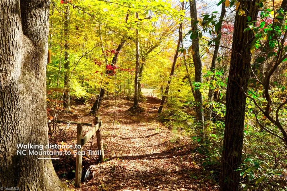 4 Old Mill Road Pinnacle, NC 27043