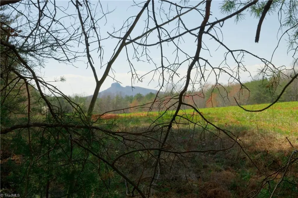 4 Old Mill Road Pinnacle, NC 27043