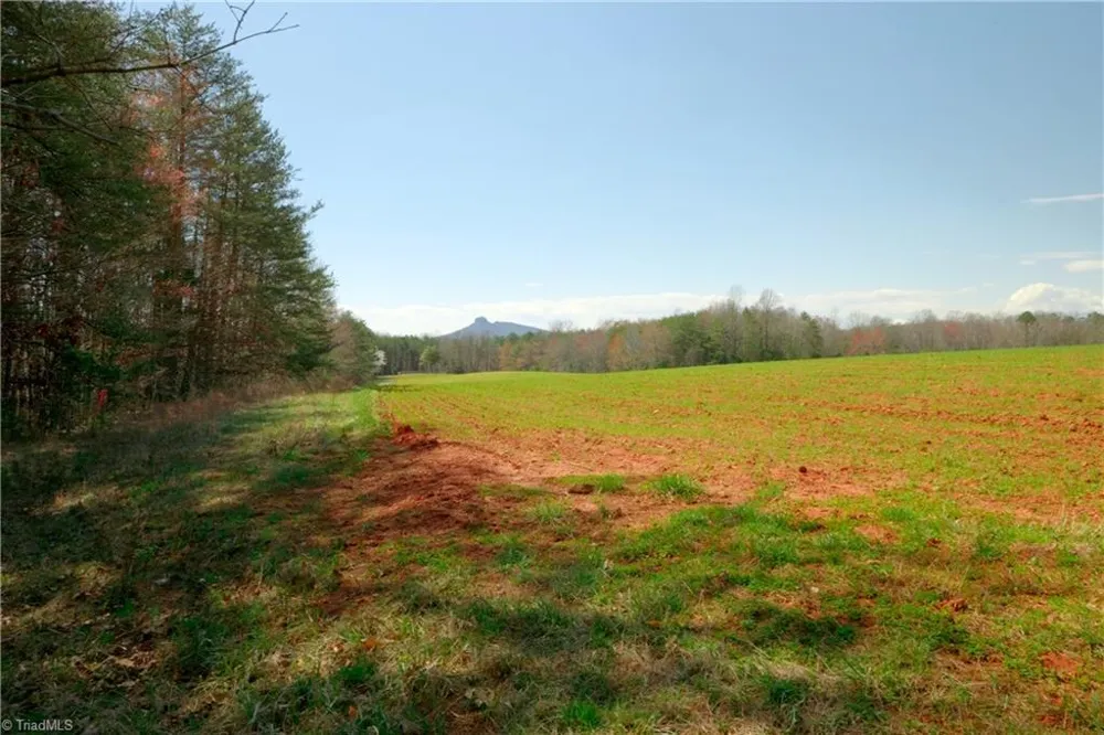 4 Old Mill Road Pinnacle, NC 27043