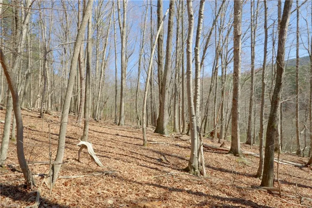 4 Old Mill Road Pinnacle, NC 27043