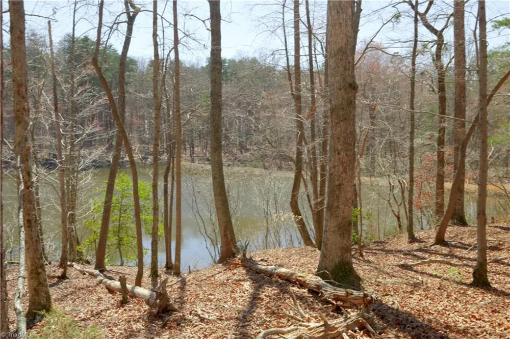 4 Old Mill Road Pinnacle, NC 27043