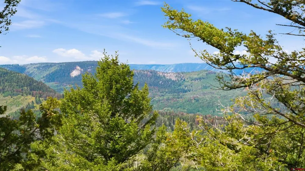 573 Crest Drive Cimarron, CO 81220