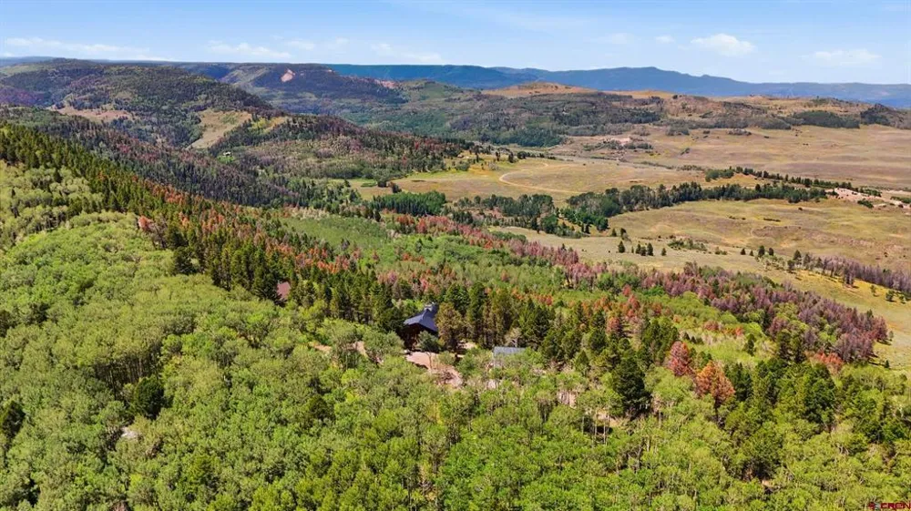 573 Crest Drive Cimarron, CO 81220