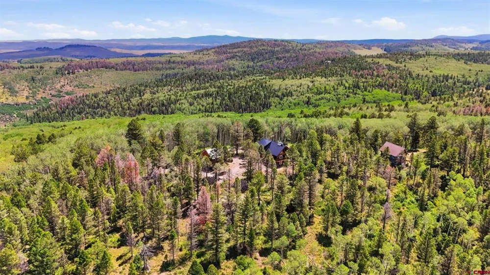 573 Crest Drive Cimarron, CO 81220