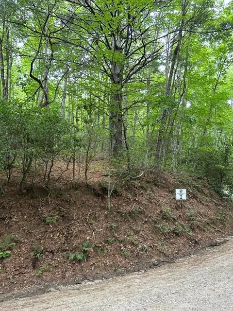 Tract 2 Coman Rd