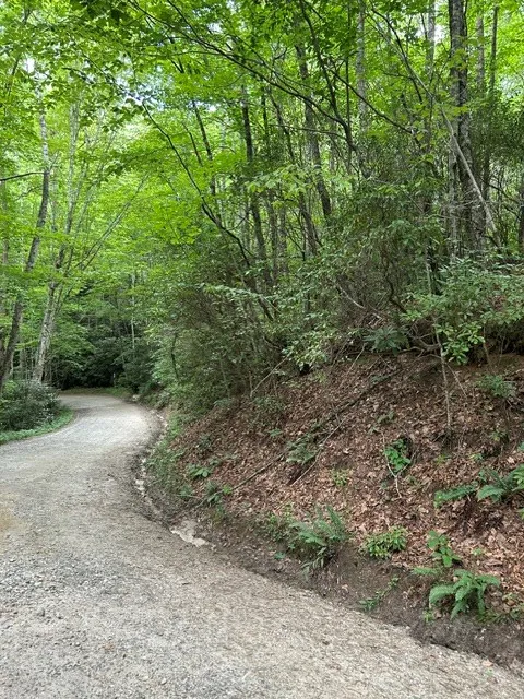 Tract 2 Coman Rd Franklin, NC 28734