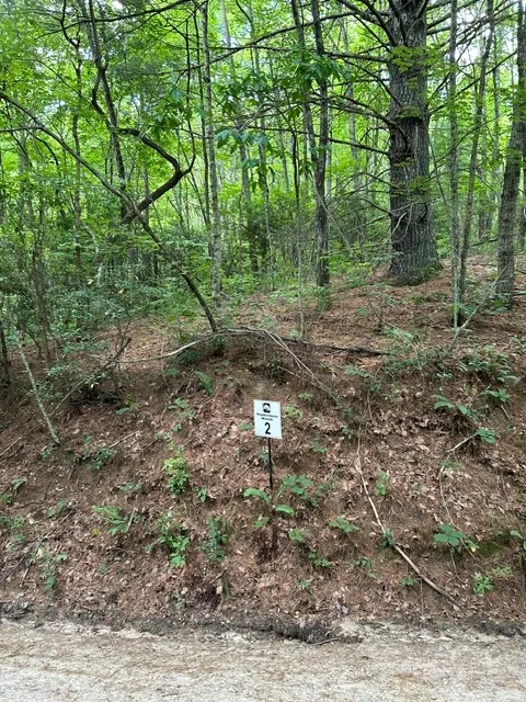 Tract 2 Coman Rd Franklin, NC 28734